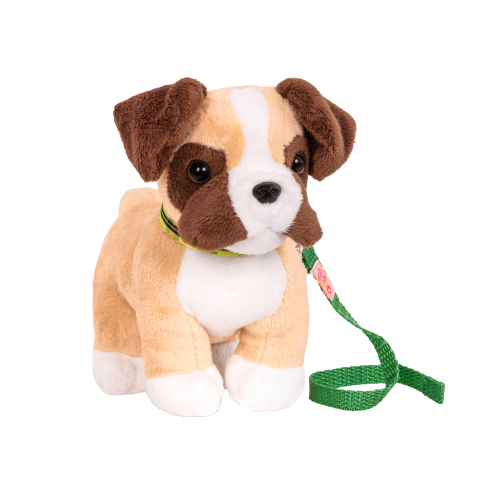 Boxer top dog teddy