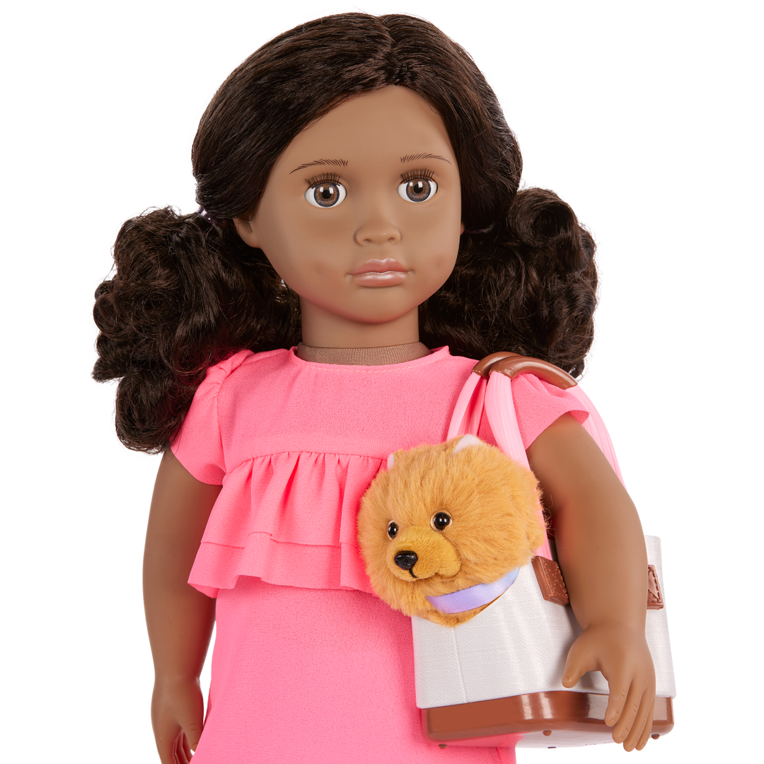 Ayanna & Goldie - 46cm OG Doll & Pet Puppy - 46cm Doll with Black Hair & Brown Eyes - 15cm Pup with Golden Fur - Toys & Gifts for Kids - Our Generation